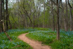 trail running