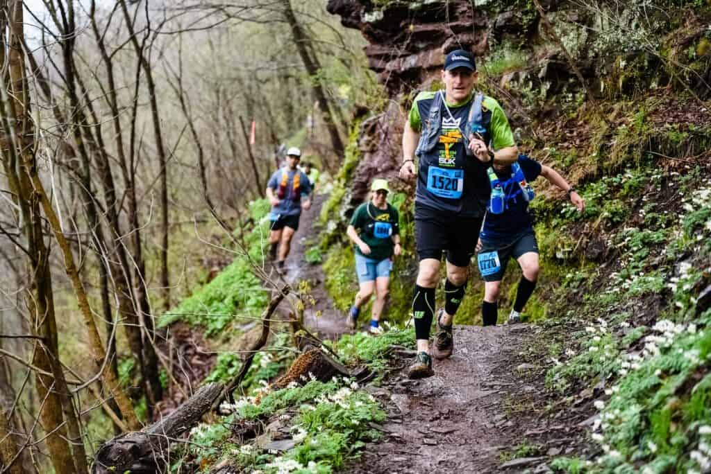 2 men running on forest during daytime