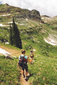 Introducing Trail Running to Your Dog