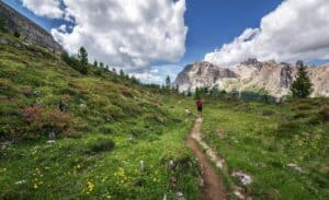 How Do You Carry Your Phone While Trail Running?