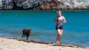 benefits of running with your dog