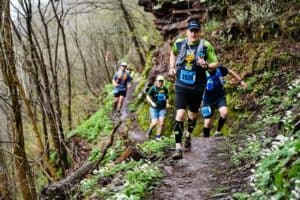 2 men running on forest during daytime