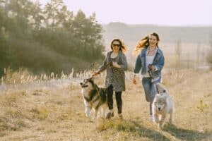 Women Running With Their Dogs on Grass Field