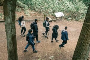 People Hiking in a Forest