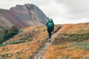 person in trail running