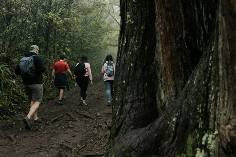 rainy day trail running benefits