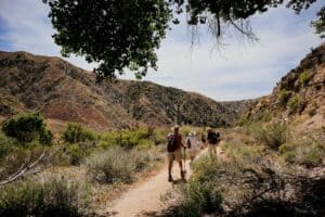 Group of People Hiking