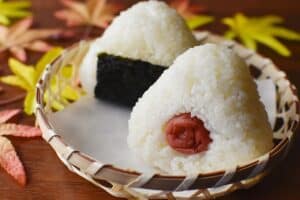 rice ball, japanese cuisine, dish