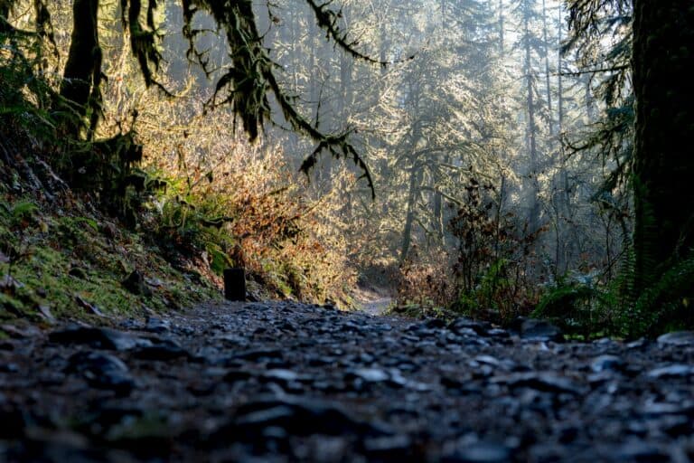 mastering trail etiquette