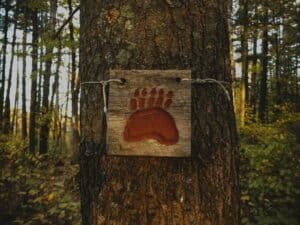 maintenance of trail markers by runners