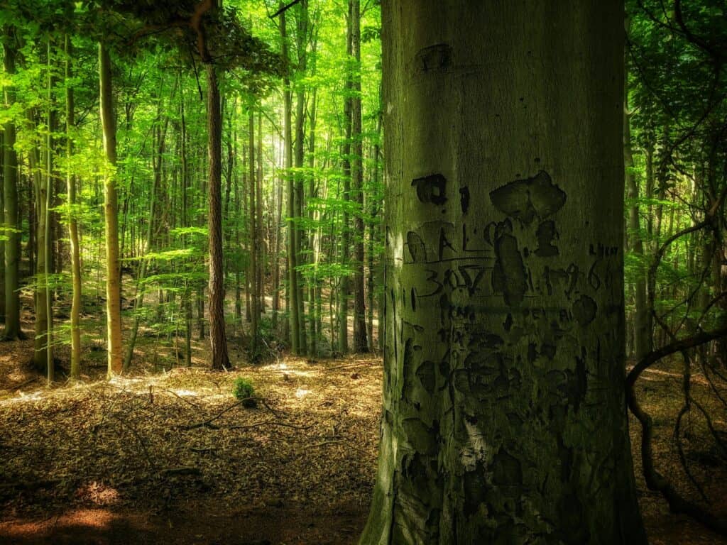 trail marking systems around the world