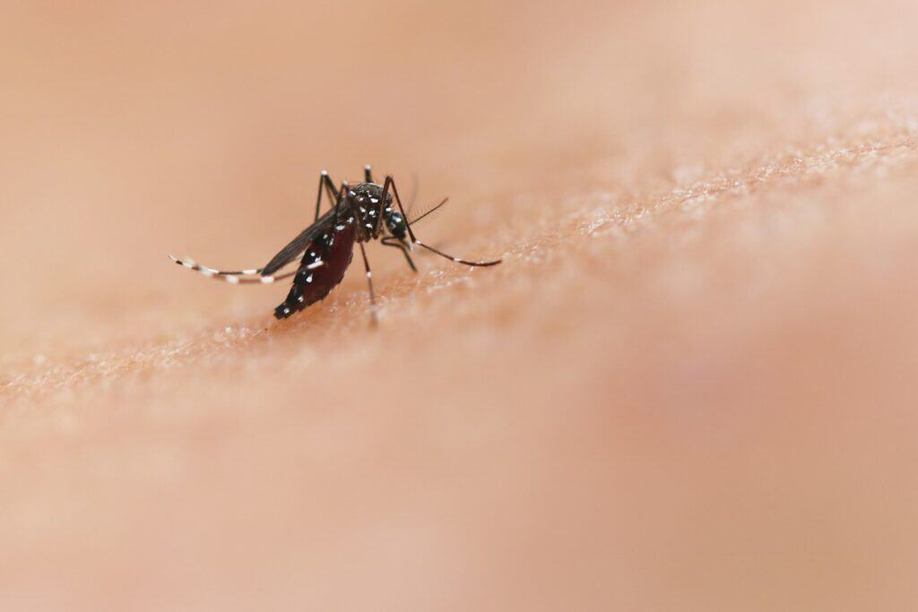 trail running and insect safety